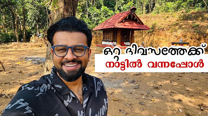 പെട്ടെന്ന് ഒറ്റദിവസത്തേക്ക് നാട്ടിൽ വന്നപ്പോൾ ഓടി നടന്നൊരു വ്ലോഗ് 😊 വെയിറ്റ് ചെയ്തവർക്ക് വേണ്ടി..