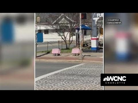 Delivery robots seen around Charlotte Wednesday