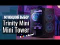 Корпус Mini-Tower - Наше всё. Обзор доступного корпуса для ПК Aerocool Trinity.