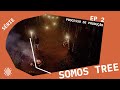 Ep 2  srie somos tree  tree content house