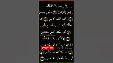 #القرآن سورة التين محمد البراك sourate at tin Mohamed el barak
