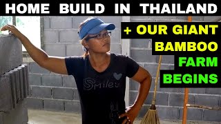 THAI HOUSE BUILD UPDATE & OUR TAIWAN BAMBOO FARM BEGINS