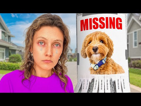 My DOG is MISSING