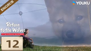 [Return To The Wolves] EP12: Reunited on the grassland—Green, is that you! 🥹| YOUKU