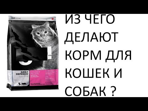 Из чего делают корм для кошек и собак?