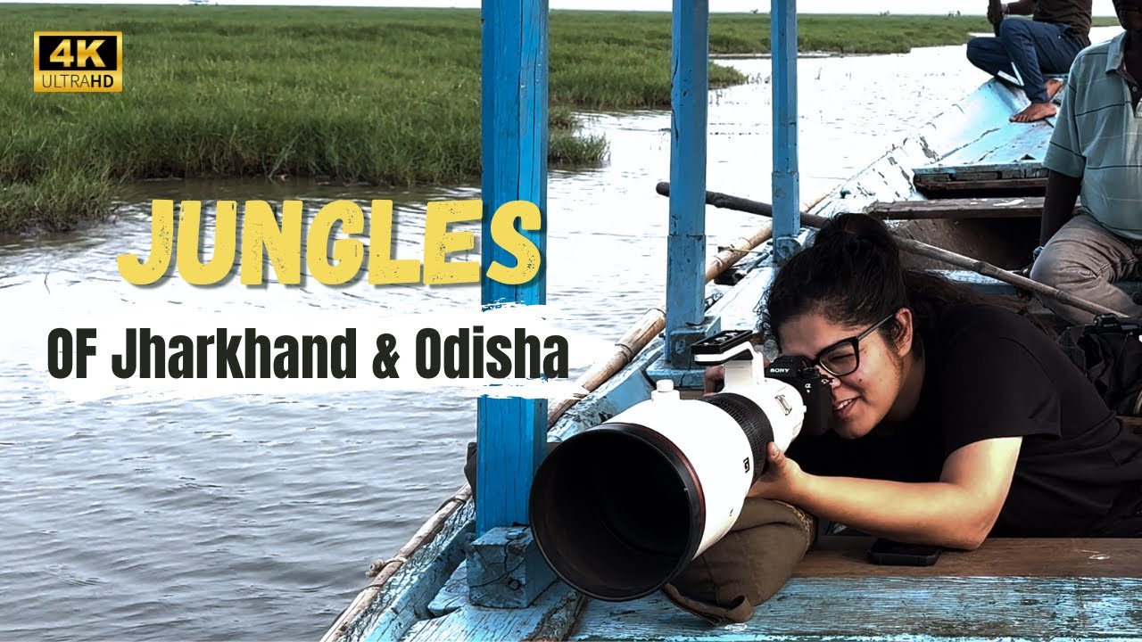 Exploring Mangalajodi & Palamau Tiger Reserve | ATR DAY - 144, 145, 146, 147