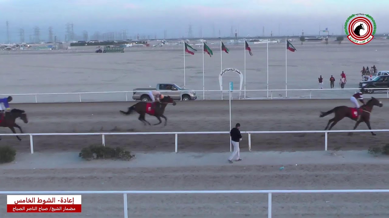 بث مباشر - مضمار الشيخ صباح الناصر الصباح - الأجتماع الثانى عشر -  لموسم 2024-2025