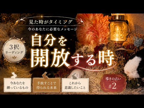 【見た時がタイミング】導きの占い｜自分の開放