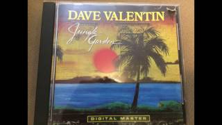 Dave Valentin - Jungle Garden full album