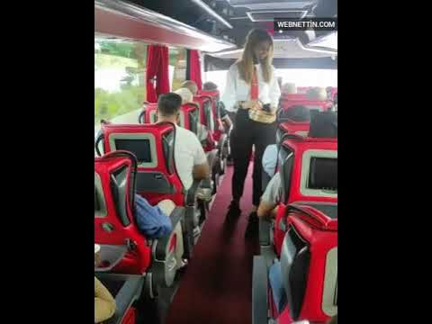 araba içi şişme yatak