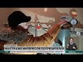 Счета за теплопотери: в Петропавловске продолжаются разбирательства