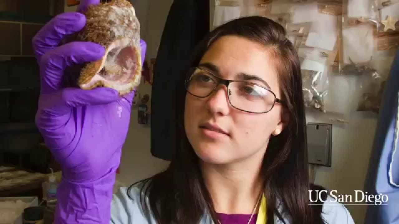 UC San Diego Microbiome Initiative academic medical centers by state