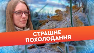 🥶 Від +19 до +2 ГРАДУСІВ за ДОБУ? Україну НАКРИЄ АРКТИЧНЕ ПОХОЛОДАННЯ!