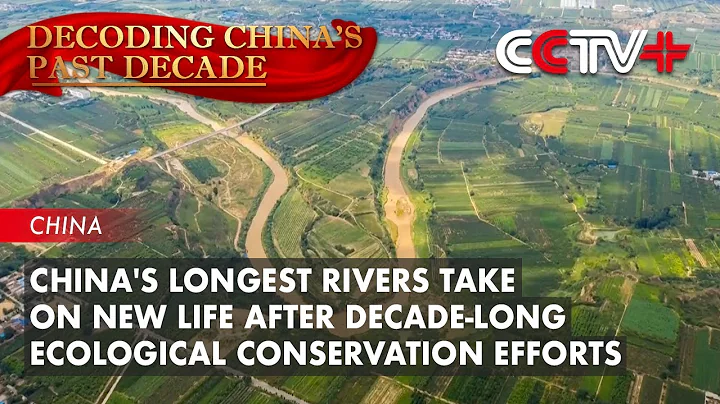 China's Longest Rivers Take on New Life After Decade-Long Ecological Conservation Efforts - DayDayNews