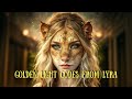 Golden light codes from Lyra