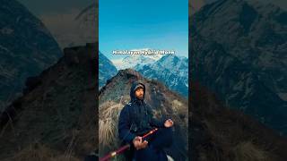 Himalayan Hybrid monk #travel #mountains #ytshorts #shorts