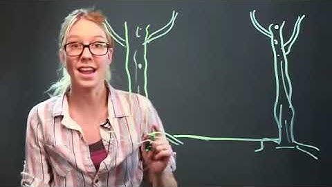 How to Draw a Cartoon Hammock