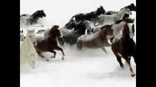 Valeriu Sterian -- Amintire cu haiduci