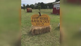 Putnam County couple to host fall fun on the farm, hayrides and more