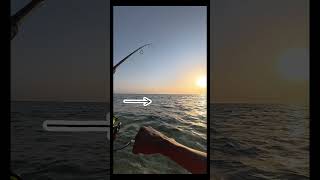 أرعب 8 ثواني 😣 #fishing #explore #fish #shake