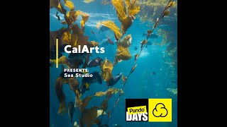 Pando Days 22 Premiere Presentation: California Institute of the Arts