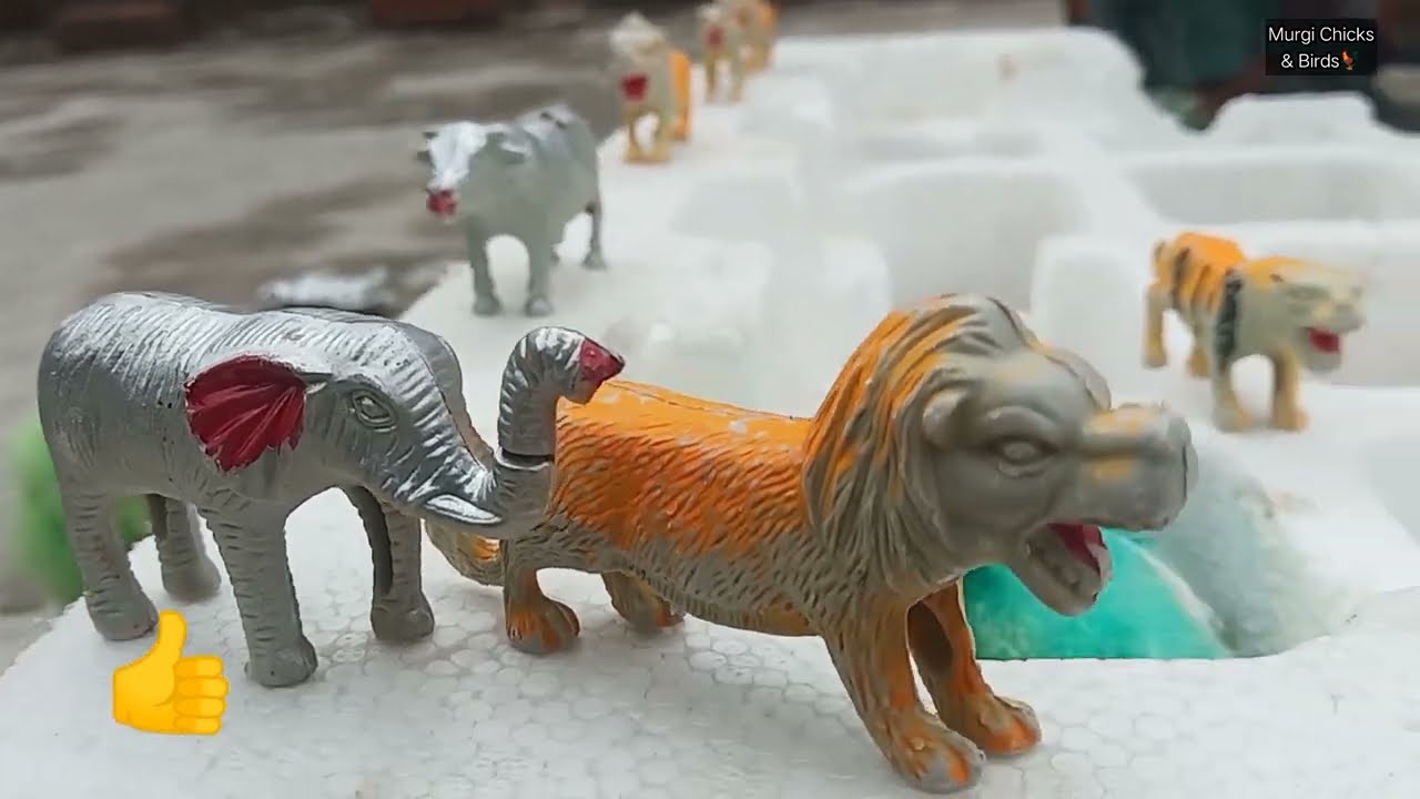 Chotty vloggers catching baby chicks and animal toys || daily vlogs || chicks and birds