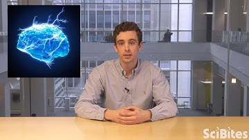 NIH SciBites: Tracking Down Seizures in the Brain