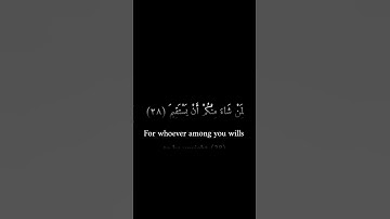 كرومات سوداء _ عمرو بن علي الترباني _ سورة التكوير #ارح_سمعك_وقلبك #كرومات_سوداء #قران_كريم