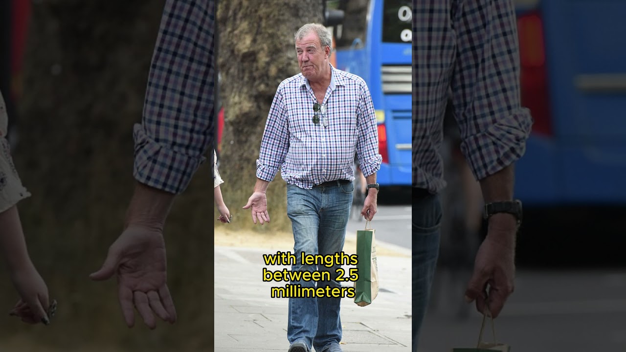 Jeremy Clarkson issues one-word warning on beard rule change after 'problematic'. 