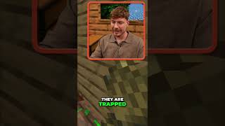 Minecraft Island Survival: Cows, Carrots, and Chaos! #shorts