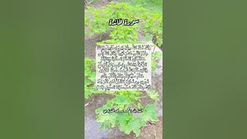 سورة المائدة ١٢ #قرآن #قرآن_كريم #quran #اكسبلور #قران #قران_كريم #قرأن