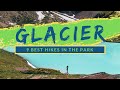 9 BEST DAY HIKES IN GLACIER NATIONAL PARK | Wildlife, Hiking, Camping [ALL YOU NEED TO KNOW]