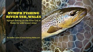 Nymph fishing for wild brown trout on the River Usk in Wales. Euro / French / Spanish nymphing tips.