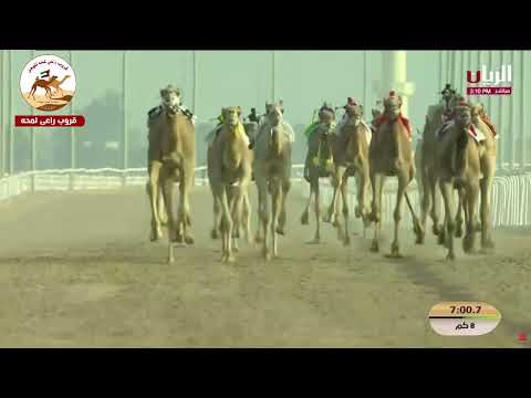 ش10 شواف لـ أحمد مطر محمد دحروي العامري 12 26 36