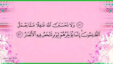 سورة إبراهيم من الآية 42 إلى 52