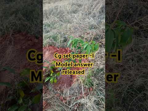 cg set model