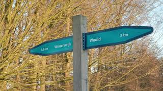 Sneeuw In Kotten En Het Woold