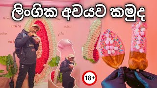ශ්රී ලංකාවේ තහනම් කඩයක් ඉතාලීයේ 😲 mr Dick MILANO vlog 02 ශ්රී ලංකාවේ තහනම් කඩයක් ඉතාලීයේ 😲 mr Dick MILANO vlog 02