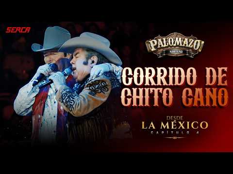 Palomazo Norteño - Corrido de Chito Cano ( Video Oficial )