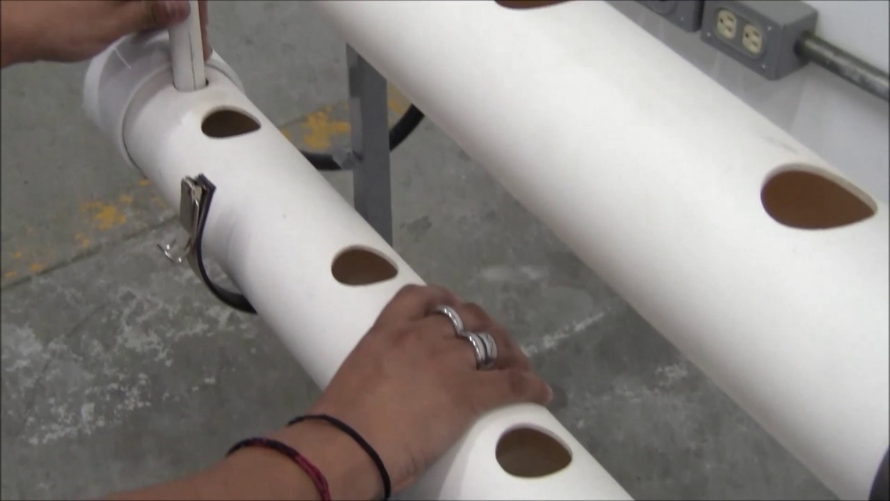 Assemble of NFT System by Oasis Easy Plant 
