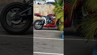 Random scene in Jamaica 🇯🇲 #fyp #viralvideo #trending #travel #mandeville