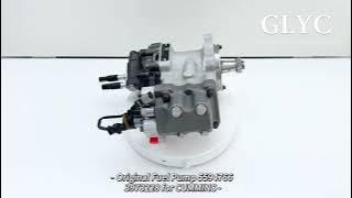 Original Engine Parts Fuel Pump 5594766 3973228 for Cummins QSL8.9