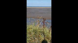 Footage From Coastguard Vehicle Of A Lady Stuck In Mudflats On The Beach