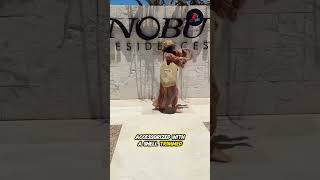 Celebrity Pregnant Vanessa Hudgens Shows Off Bare Baby Bump in Brown Bikini ‘Happy Girl’ #shorts #celebnews Profile