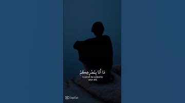 فلا تلوموني قران الكريم #اكسبلور  #لايك