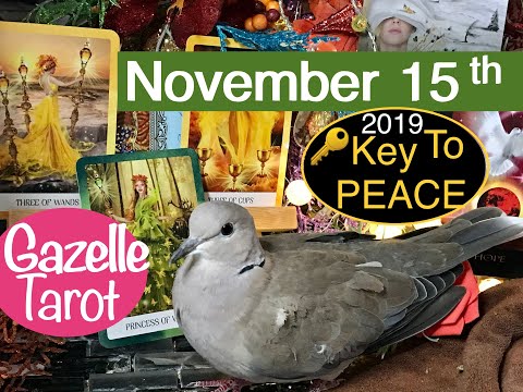 november-15-2019-daily-tarot-reading-🔑-your-key-to-peace-🧩-#tarot-#tarotreader-#tarotreading