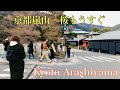 2024年3月28日(木) 桜開花間近の京都嵐山☁️ The cherry blossoms are about to bloom in Arashiyama, Kyoto