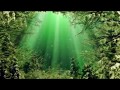 10 hours relaxing music  beneath the surface  sleep music meditation calm zen stress relief