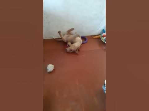 вентиляция ВКЛ))) - YouTube