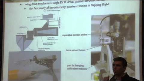 Challenges for 100 milligram flight